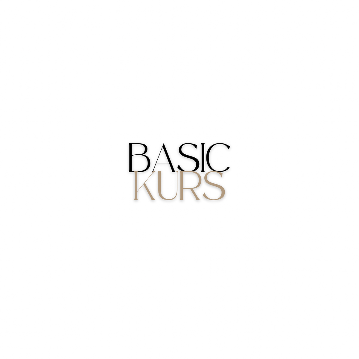 THE BASIC.3 ZONE