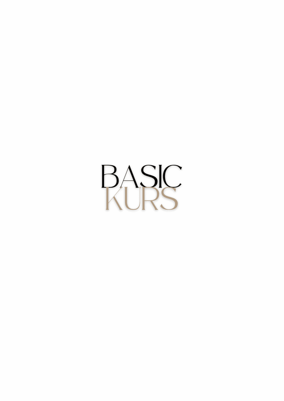 THE BASIC.3 ZONE
