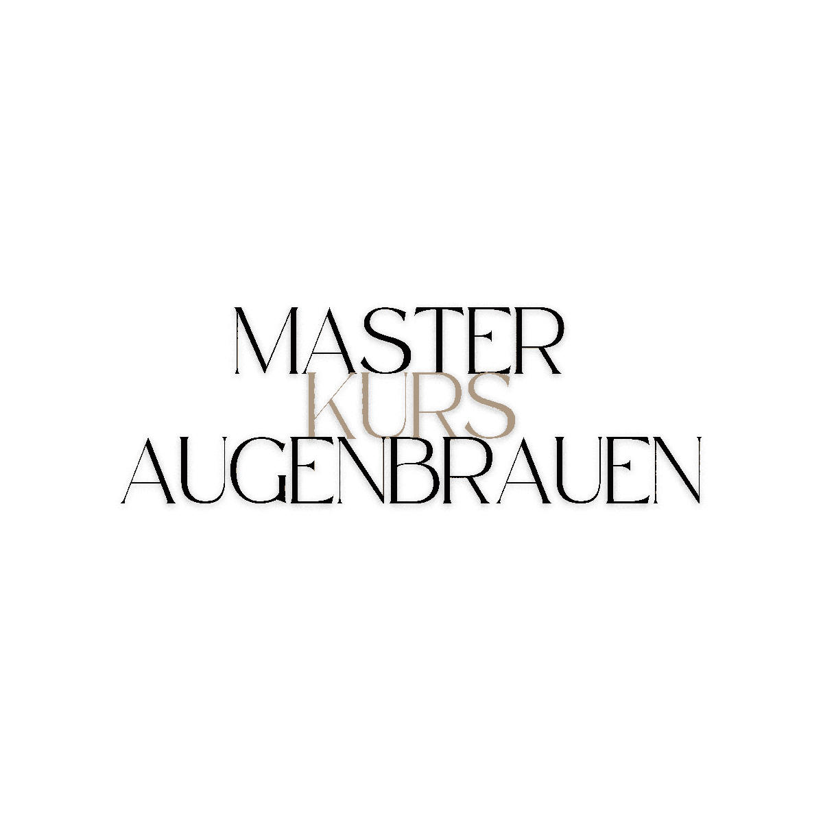Master kurs Augenbrauen