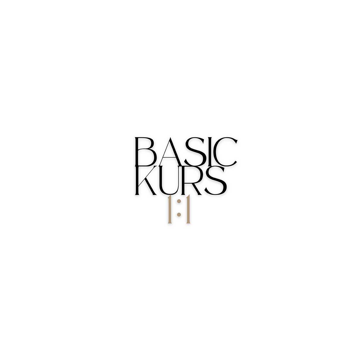 1:1 BASIC KURS