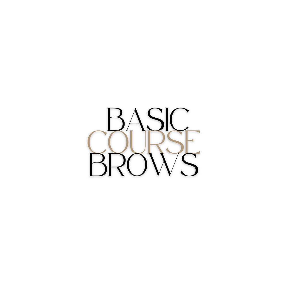 Basic Course - Powder brows